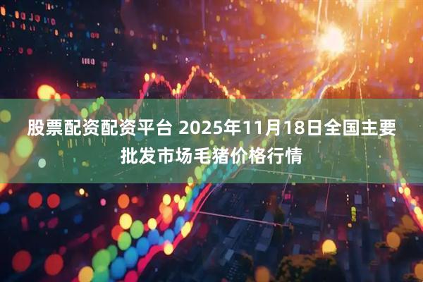股票配资配资平台 2025年11月18日全国主要批发市场毛猪价格行情