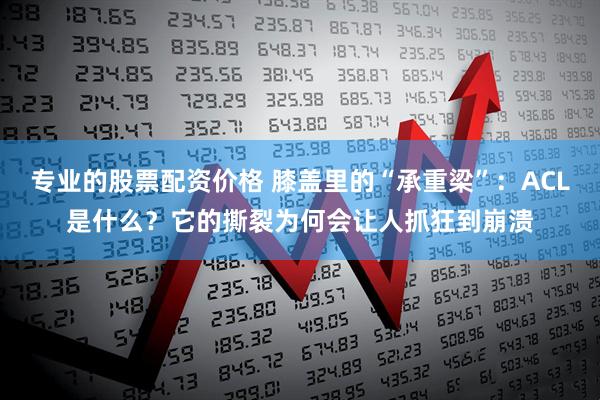 专业的股票配资价格 膝盖里的“承重梁”：ACL是什么？它的撕裂为何会让人抓狂到崩溃